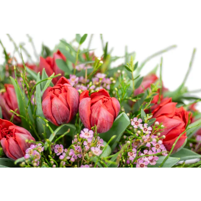 Bouquet of premium tulips